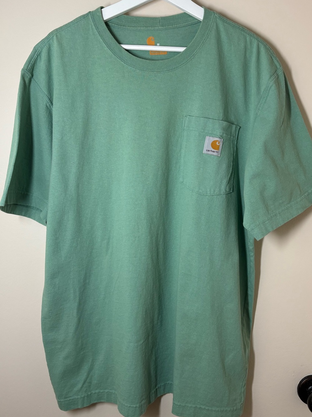 Carhartt Short Sleeve Pocket Tee in Mint Green